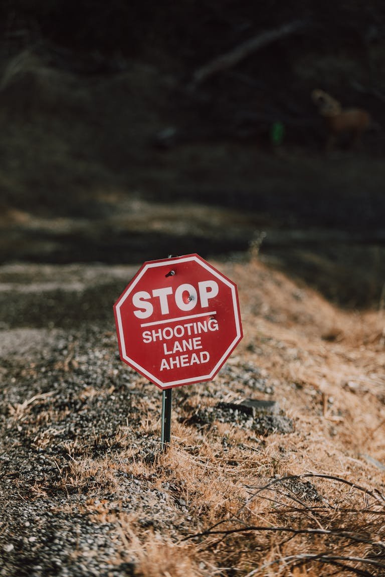 A red stop sign warns of a shooting lane ahead in a dry outdoor area.